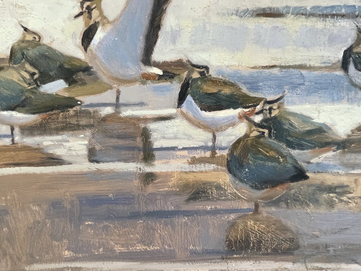 ryeartists's tweet photo. The start of a new week at our Spring Exhibition @ryeartgallery - here’s some bird studies by Robert Greenhalf in oil. Shellducks and Spoonbills, Lapwings, Bewicks ….. a beautiful collection to choose from. #rueartists #robertgreenhalf #birdpaintings #birds #lapwings #shellducks https://t.co/nwMXDrwoMf