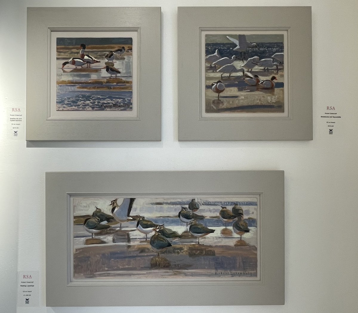 ryeartists's tweet photo. The start of a new week at our Spring Exhibition @ryeartgallery - here’s some bird studies by Robert Greenhalf in oil. Shellducks and Spoonbills, Lapwings, Bewicks ….. a beautiful collection to choose from. #rueartists #robertgreenhalf #birdpaintings #birds #lapwings #shellducks https://t.co/nwMXDrwoMf