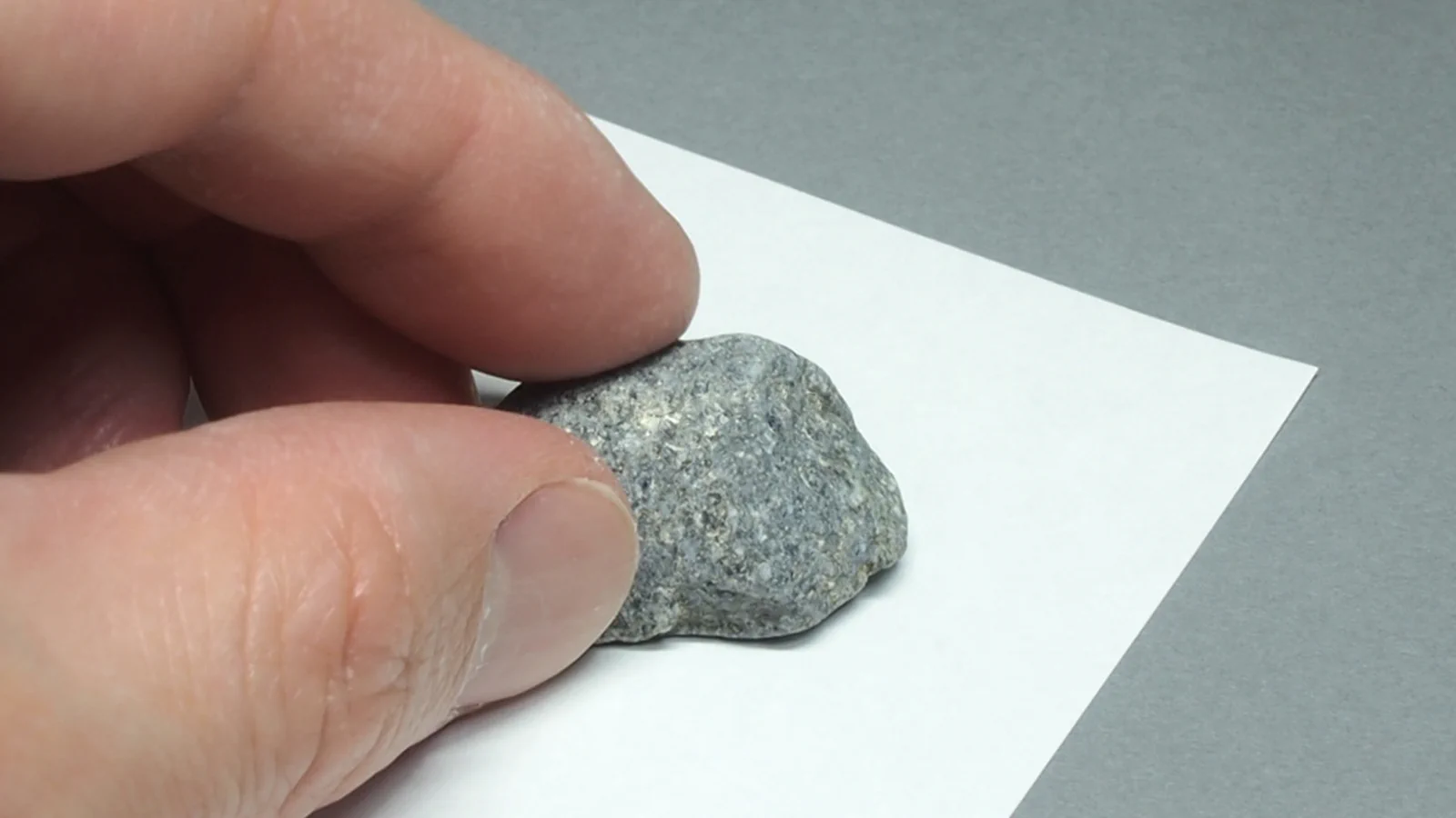 石をひっくり返すとダンゴムシ！を再現したスタンプが粋。