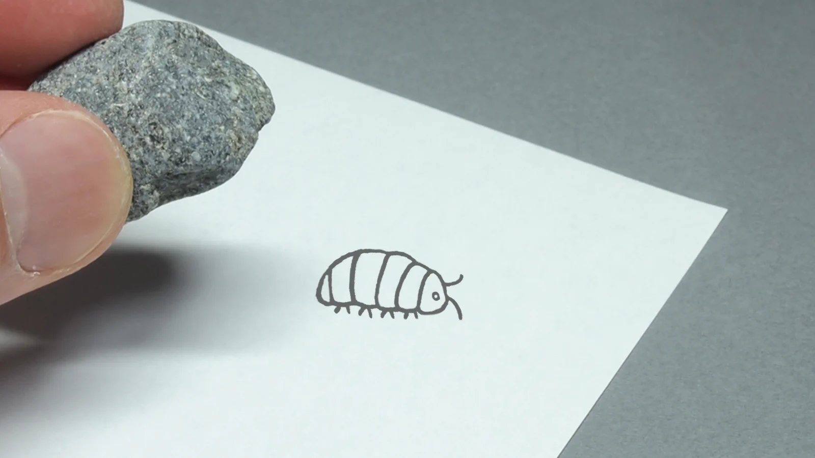 石をひっくり返すとダンゴムシ！を再現したスタンプが粋。