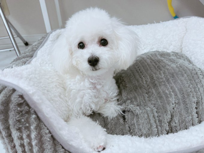 中川琉梨音のTwitter画像53