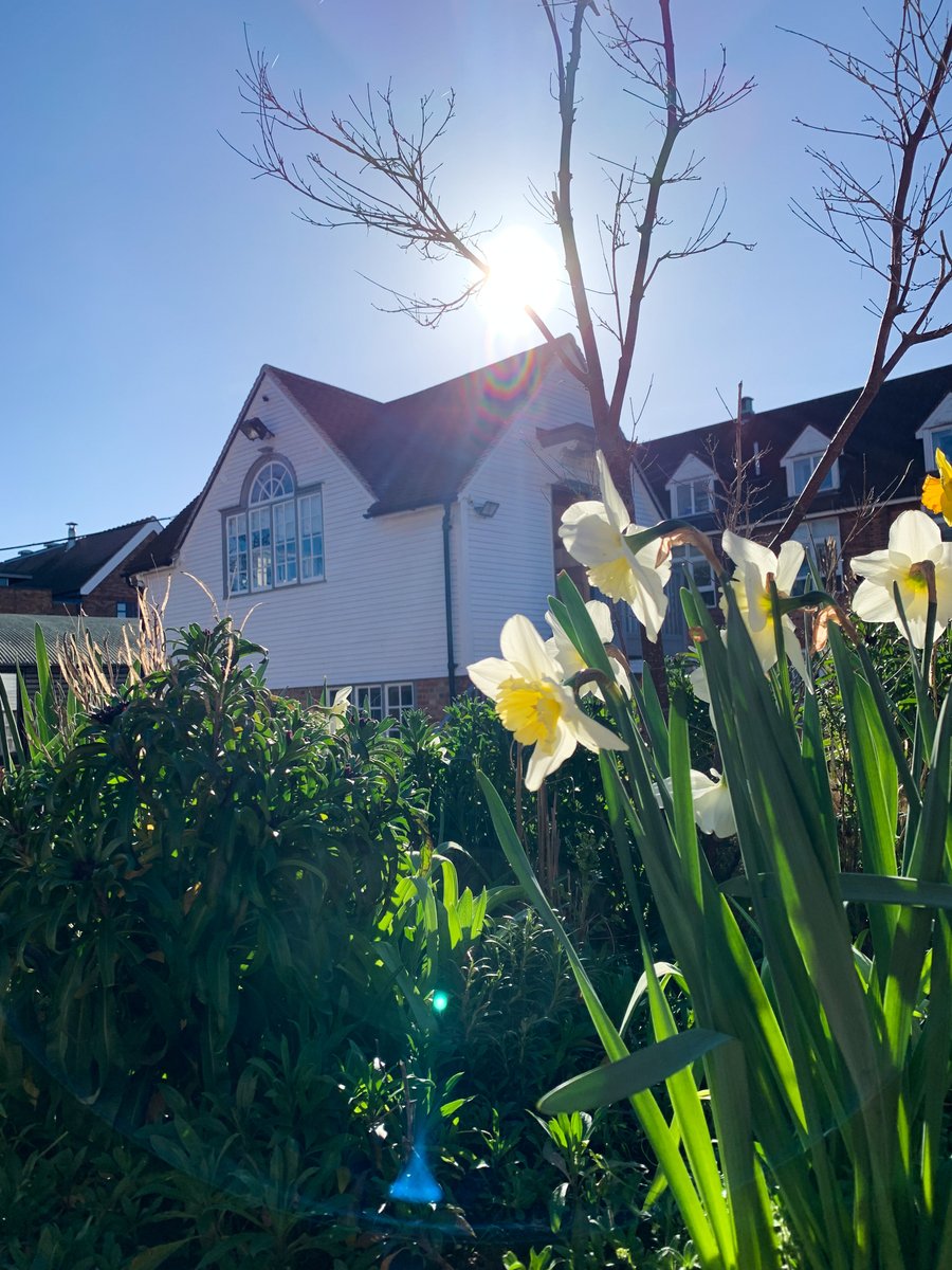 It's a beautiful morning at the Dragon, Spring has sprung! 🌷🌼🌸