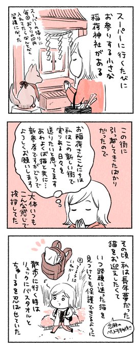 神のみぞ知る猫との出会い 