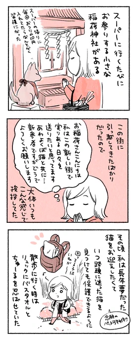 神のみぞ知る猫との出会い 