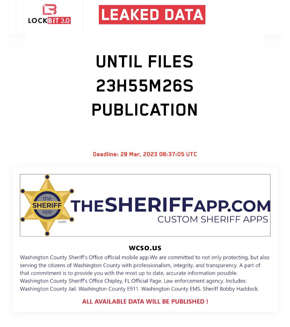 Dominic Alvieri tweet media