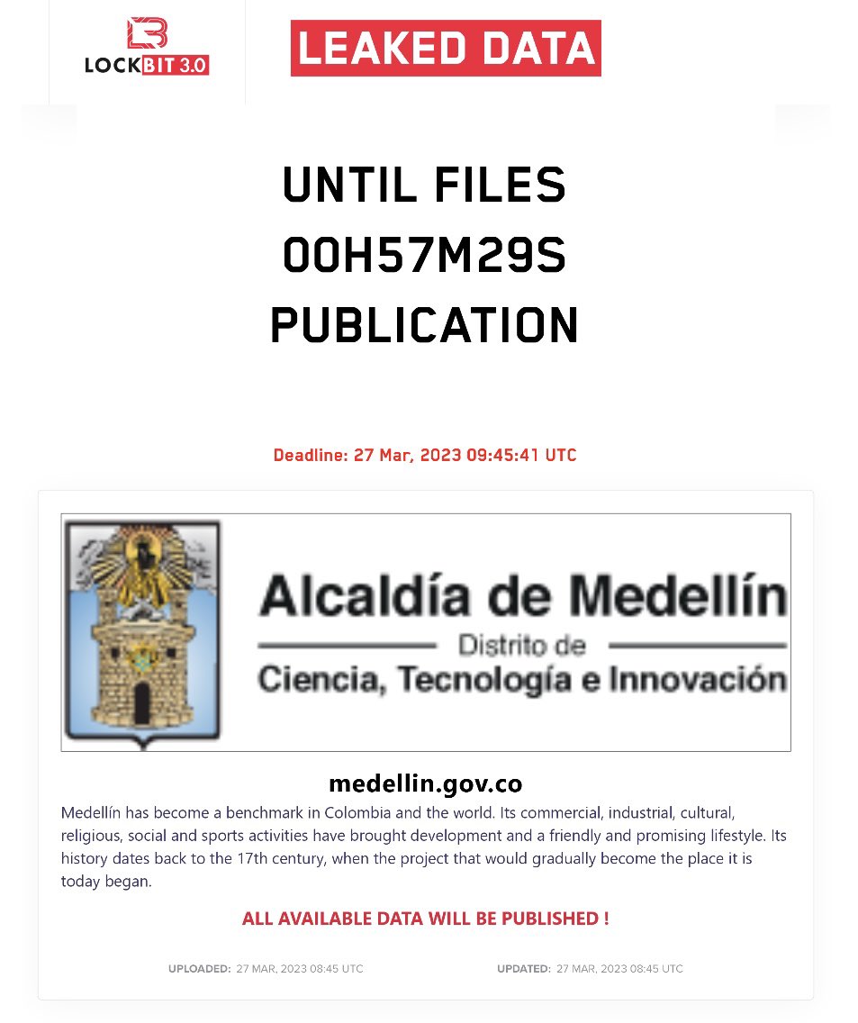 Dominic Alvieri tweet media