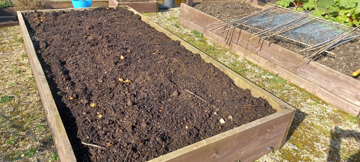 🌱An Organic Irish Garden🌱 tweet media