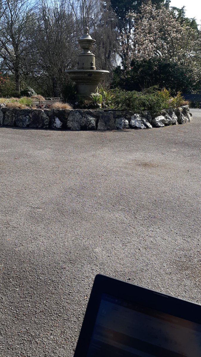 PhD work in the park, can't beat it 😁😁 #phdlife