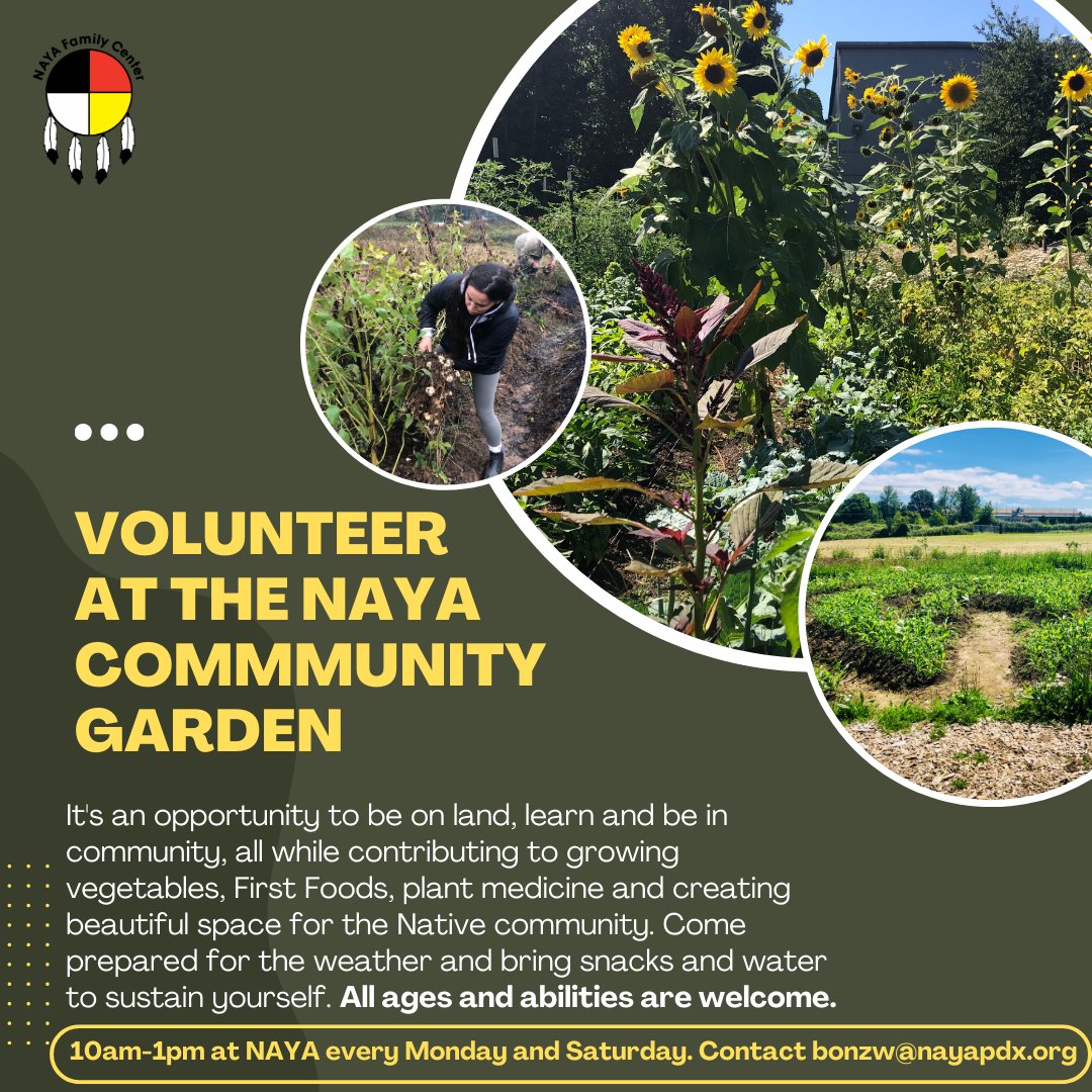 NAYAFam's tweet photo. Join us at the NAYA Community Garden to learn about First Foods, plant medicine, and much more! Help prepare beds, plant, and weed on Mondays and Saturdays from 10 a.m. to 1 p.m. Please dress appropriately for the weather. We hope to see you there! More info: wykmanb@nayapdx.org https://t.co/sIjjtYqs2o