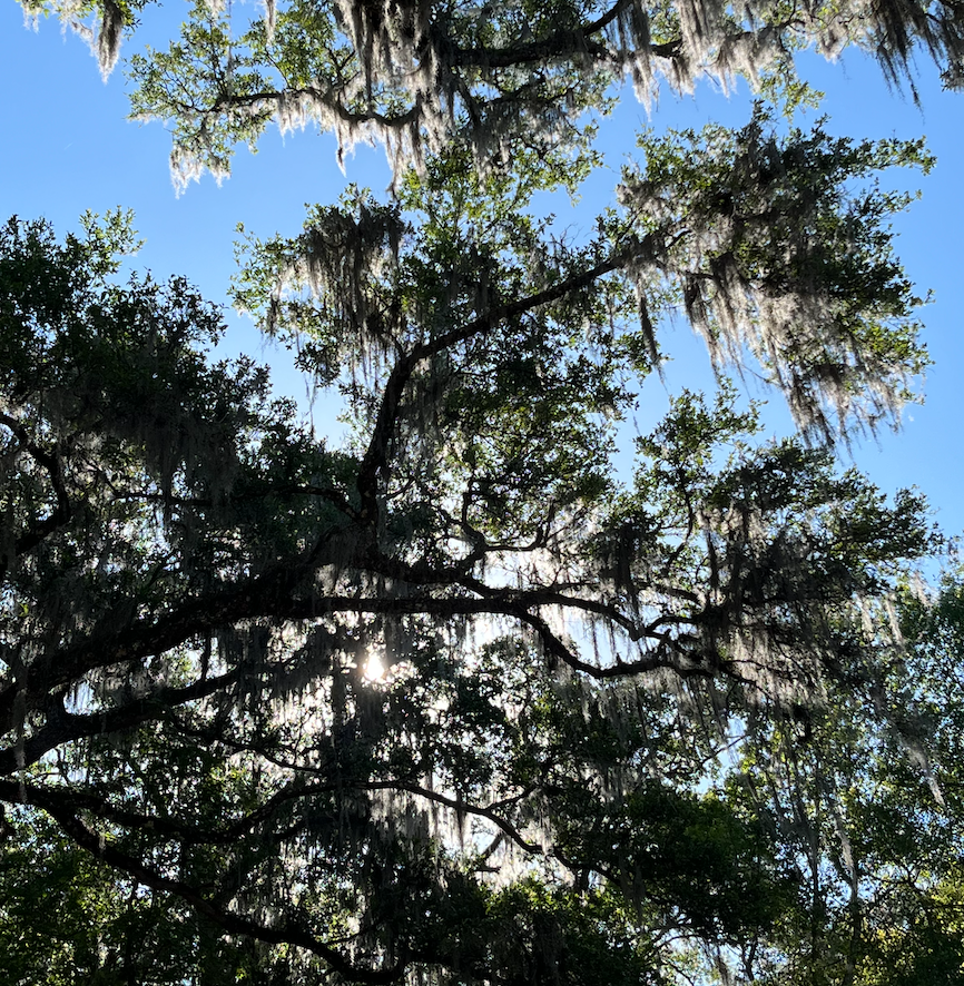 ExaltedWarriorF's tweet photo. Weekly Classes & Workshops for Resilience 3/27 -4/2
Info: https://t.co/SkCPqNp7tG
#yoga #iRest #meditation #resilience #stressrelief #care #rest #sleep #ease #human #strength #military #veterans #mentalhealth #mindfulness #nervoussystem #mentalfitness #brain https://t.co/RNyFtNtw9I