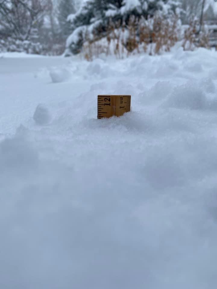 kodythewxguy's tweet image. Gonna have to ditch the rulers and pull out the yard sticks in Windsor! #COwx #Snow #SpringStorm 

📸 Dan Van Arsdall