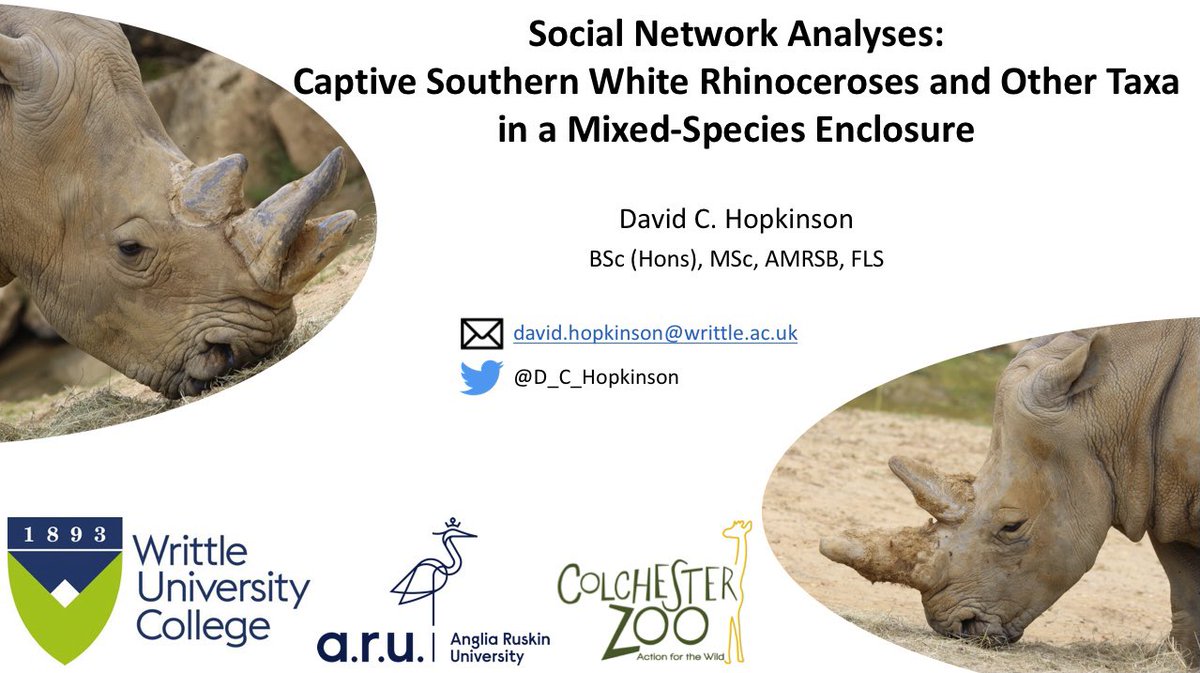 D_C_Hopkinson's tweet image. Last week I was invited by AnimalConcepts to take part in their webinar and present my rhino research. A highly rewarding experience! 🦏

@AngliaRuskin @aru_fse @ARU_Biology @ColchesterZoo @WrittleOfficial

#socialnetworkanalysis #zoo #animalwelfare #conservation #onlyatwrittle