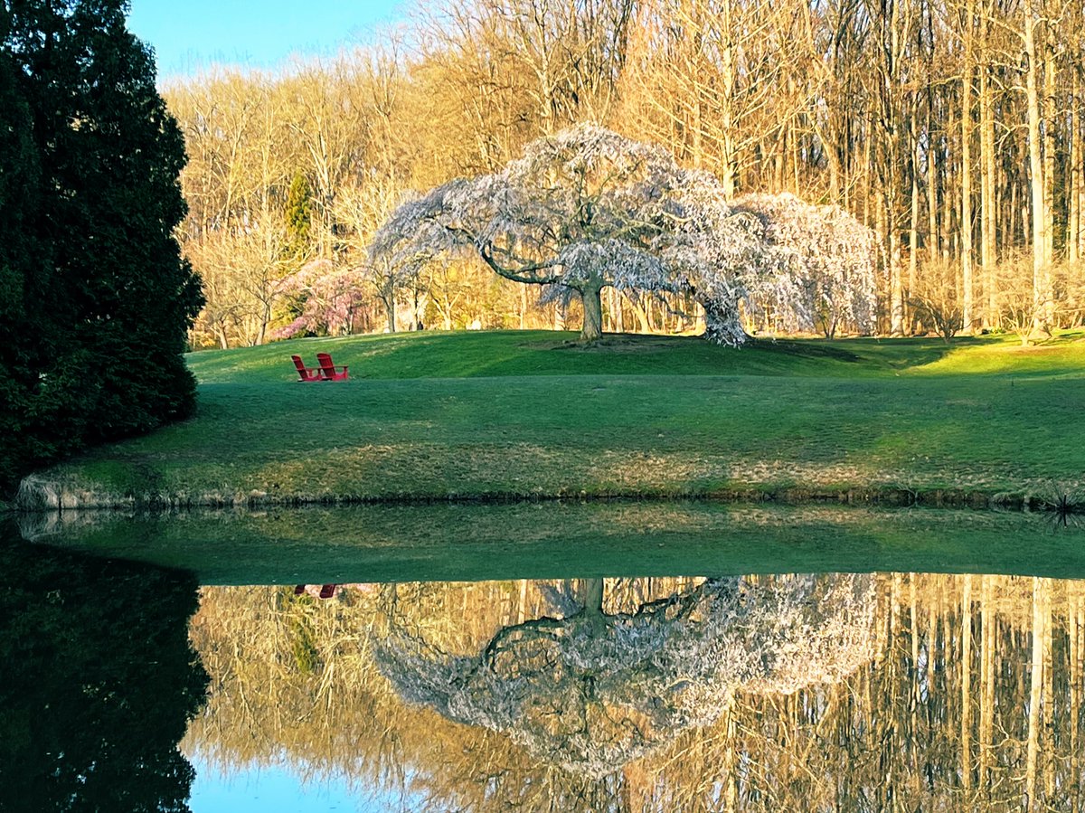 ErinPant's tweet photo. Monday morning views Brookside Gardens https://t.co/3yPtbzccz0