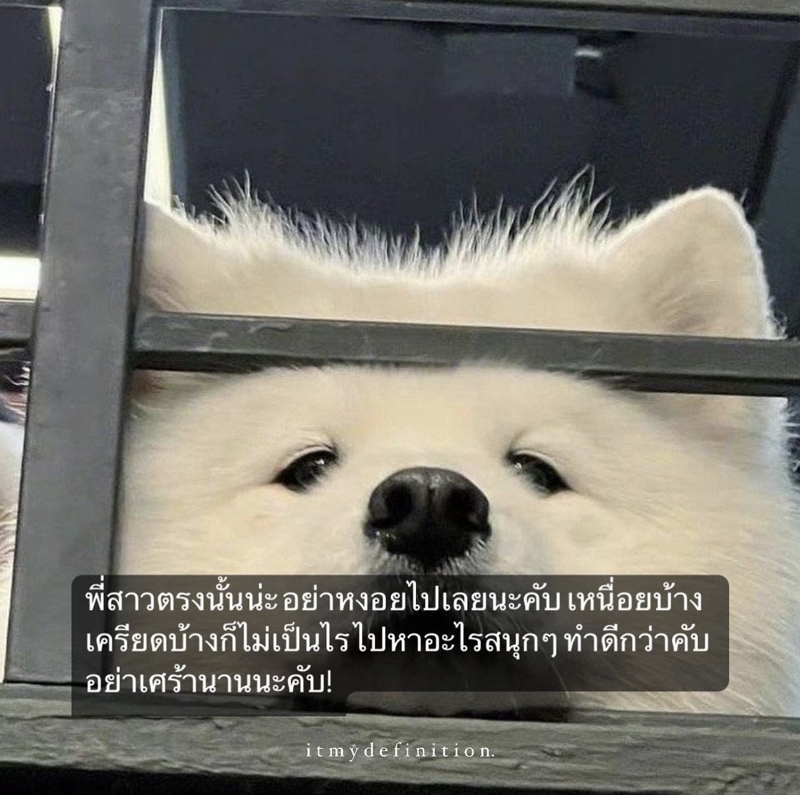 พี่สาวตรงนั้นน่ะ