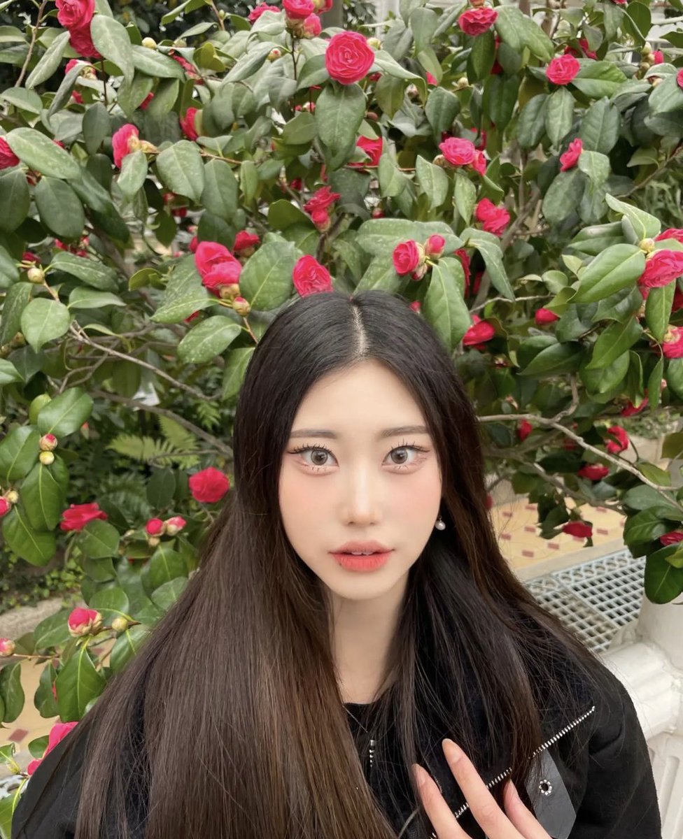 WiTCHESmedia's tweet photo. #아야 #aya ☆ #위치스 !
© witchesxofficial ig → 230327 https://t.co/twMSo6GU3A