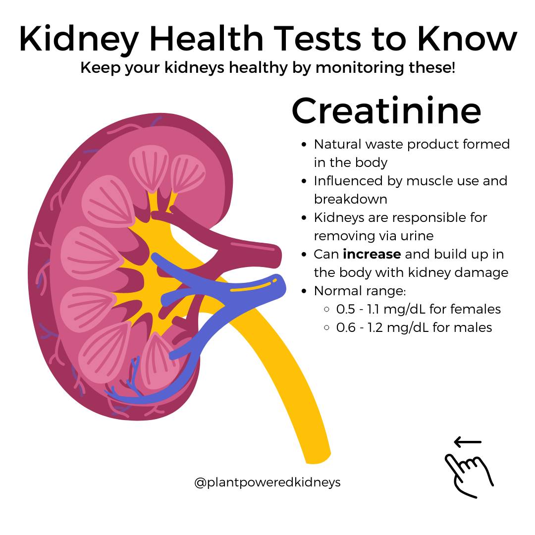 Plant-Powered Kidneys (@plntpwrdkidneys) on Twitter photo trylgc.com/ppkkidney trylgc.com/ppkkidney