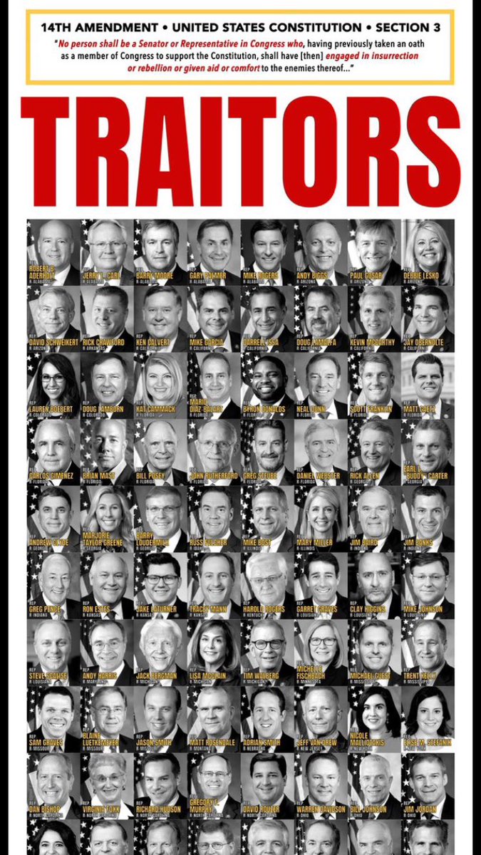 TheVictoryTour's tweet image. Read &amp;amp; enlarge the top paragraph ! It’s the 14th Amendment Sec 3 which clearly states these ppl who were supporting the insurrection against our Gov cannot hold office! #RemoveThem #GOPisCorrupt