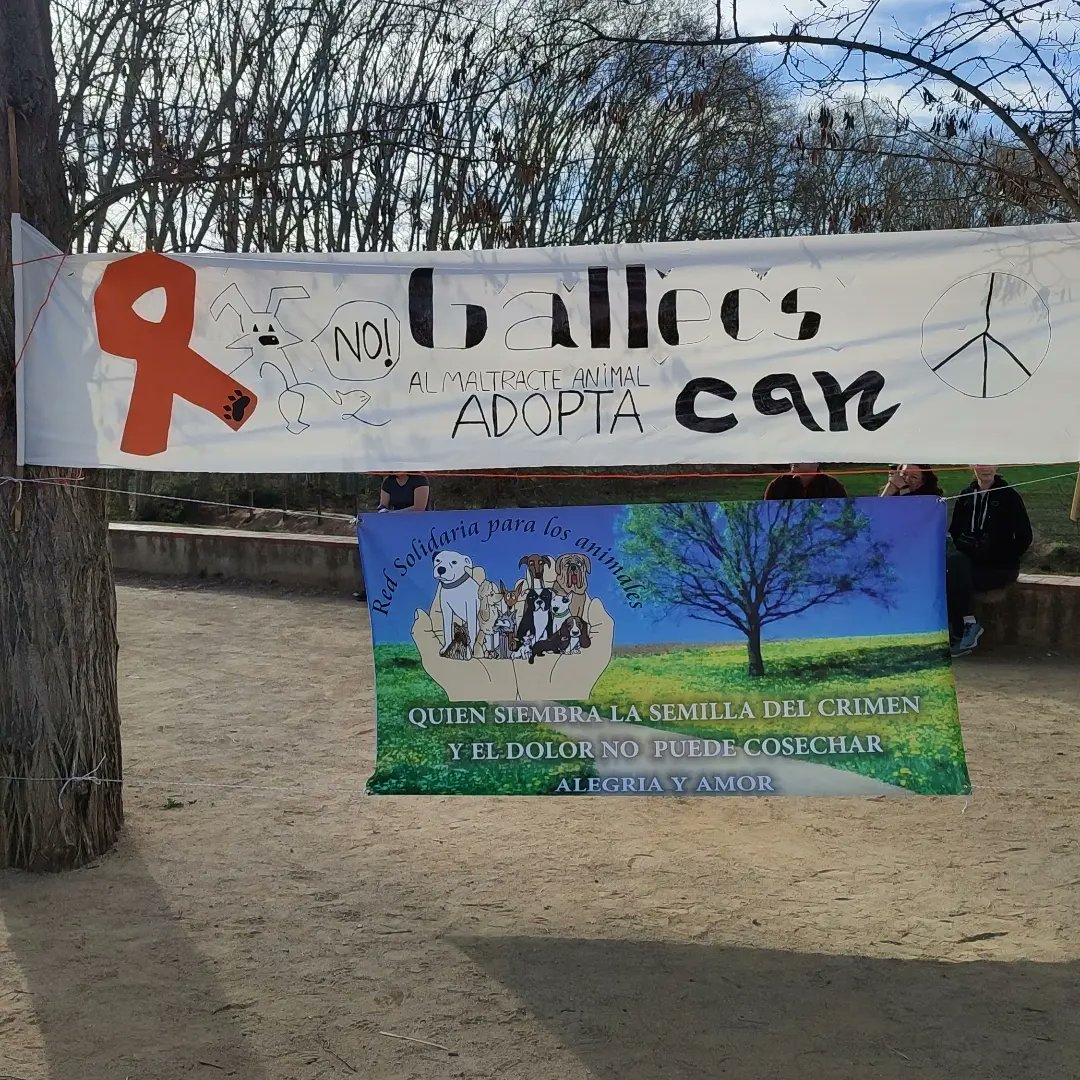 torrats's tweet photo. La II edició del Gallecs Can va ser tot un èxit! 🐶🥘🚶🏻‍♀️
🟤Gran passejada solidària i dinar 🙌 Molt agraïts i agraïdes a les persones que van participar. Gràcies a vosaltres segur que surt un gran recompte de donació a les associacions! @AVGallecs @redsolidariapr1 @CollaMorada https://t.co/WqNBoWyARu