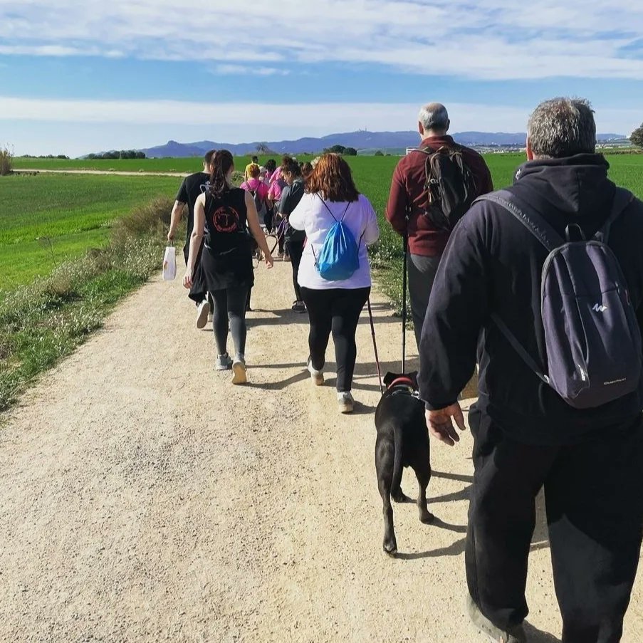 torrats's tweet photo. La II edició del Gallecs Can va ser tot un èxit! 🐶🥘🚶🏻‍♀️
🟤Gran passejada solidària i dinar 🙌 Molt agraïts i agraïdes a les persones que van participar. Gràcies a vosaltres segur que surt un gran recompte de donació a les associacions! @AVGallecs @redsolidariapr1 @CollaMorada https://t.co/WqNBoWyARu