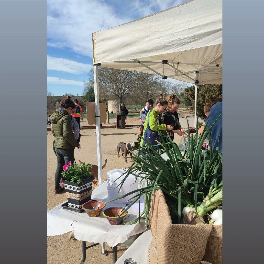 torrats's tweet photo. La II edició del Gallecs Can va ser tot un èxit! 🐶🥘🚶🏻‍♀️
🟤Gran passejada solidària i dinar 🙌 Molt agraïts i agraïdes a les persones que van participar. Gràcies a vosaltres segur que surt un gran recompte de donació a les associacions! @AVGallecs @redsolidariapr1 @CollaMorada https://t.co/WqNBoWyARu