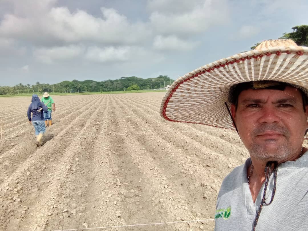 Como parte de sus labores, los técnicos del Programa de mejoramiento genético de maíz de Danac, establecen el diseño de campo para la siembra de los ensayos de nuevos híbridos experimentales.

Lee más en Ig y Fb <a href="/fundaciondanac/">@Fundación Danac</a>