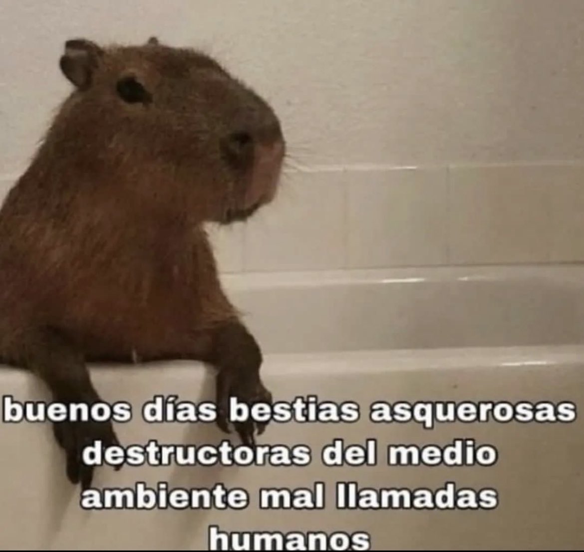 KareDaboin's tweet photo. Mood: https://t.co/ObE3xqh0Ts