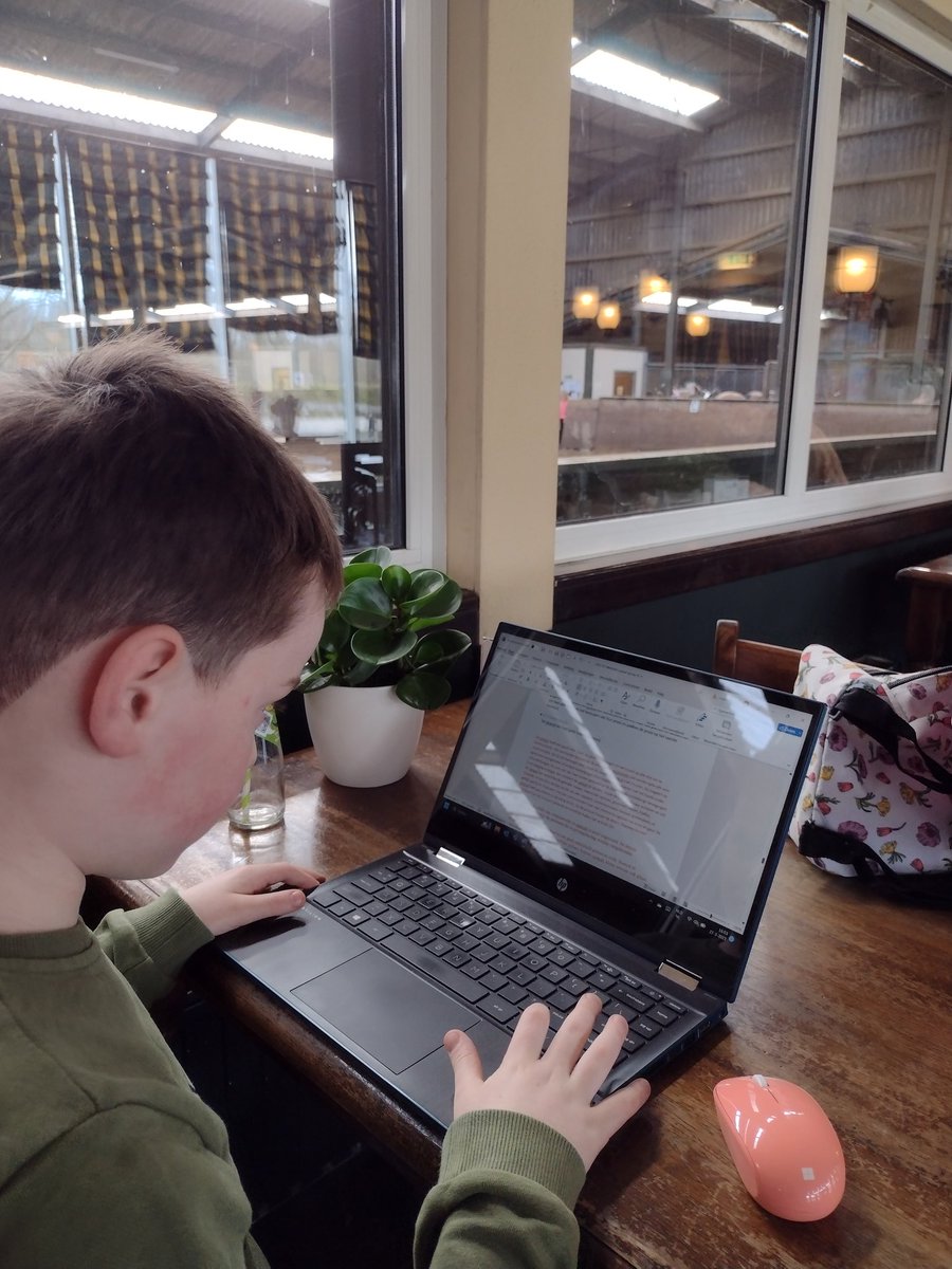 lisette_b's tweet photo. Dochter heeft paardrijles en ik begeleid zoon bij het maken van zijn werkstuk. #caracal #werkstuk #groep6 https://t.co/Qem5V5EuQ3