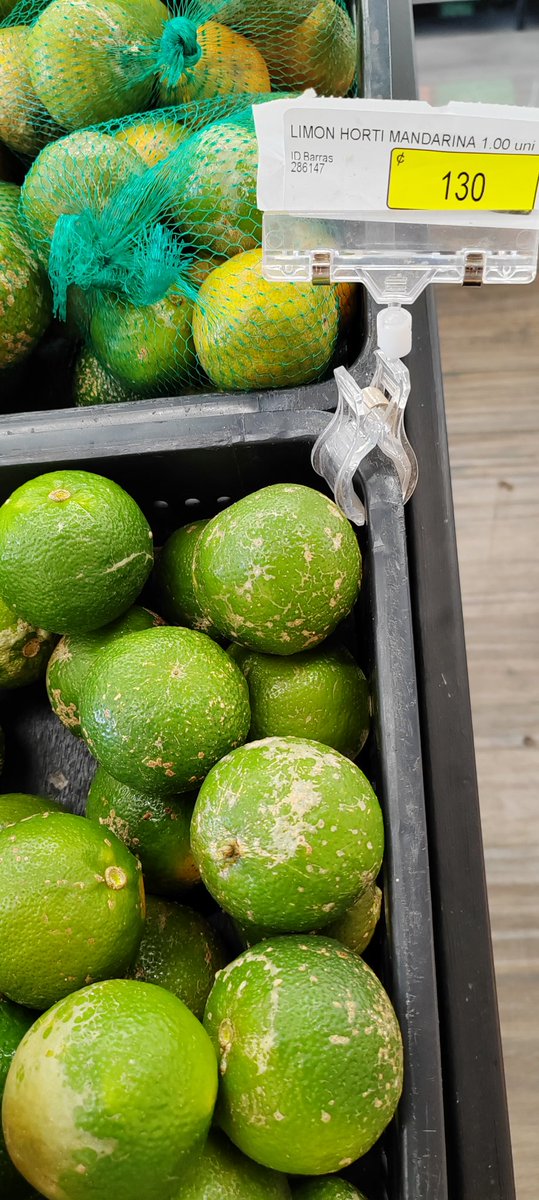 kchavesr's tweet photo. Por ahí vi una foto (automercado creo) que los limones estaban como a 5mil el kilo

Reportando que en Pérez Zeledón el precio está bastante normal https://t.co/uBrNv4ms3X