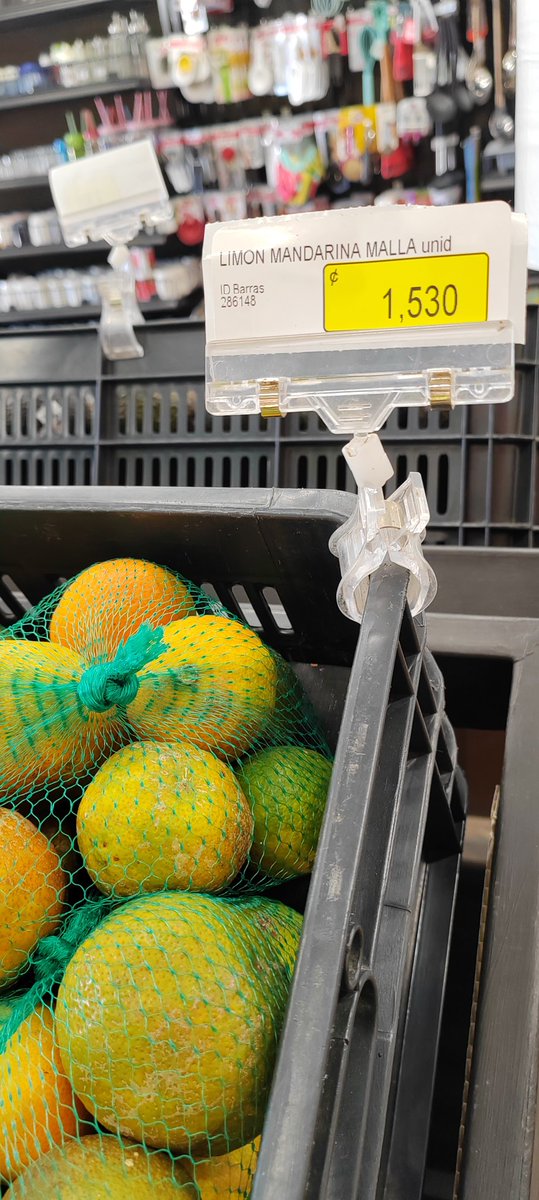 kchavesr's tweet photo. Por ahí vi una foto (automercado creo) que los limones estaban como a 5mil el kilo

Reportando que en Pérez Zeledón el precio está bastante normal https://t.co/uBrNv4ms3X