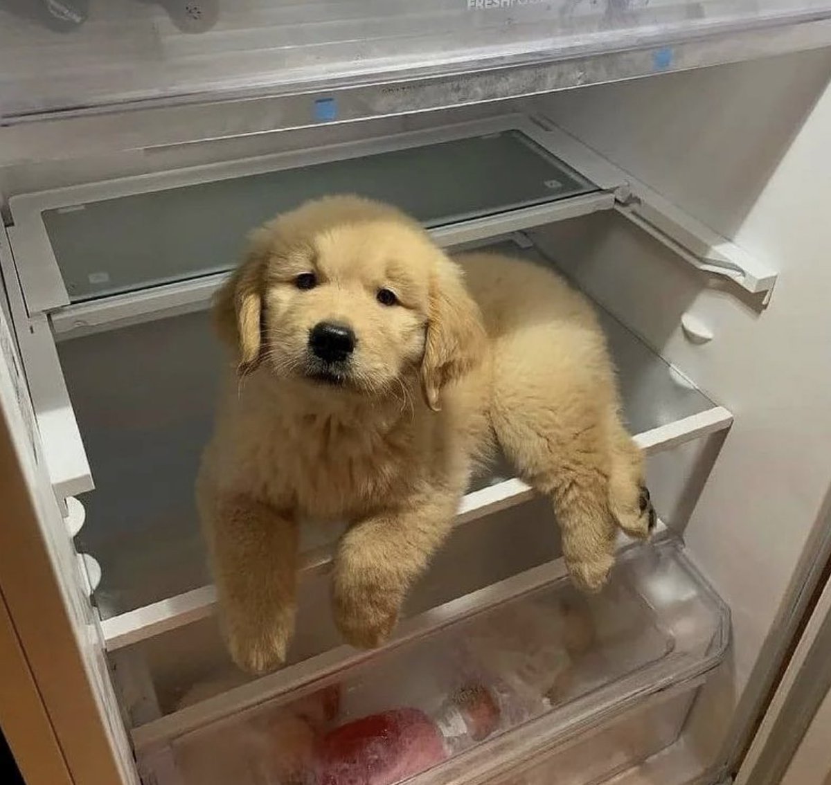 หมดตุ้เย็นแล้วแม่