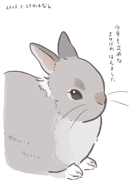 凛々しrabbit…

#うさぎのいる生活 