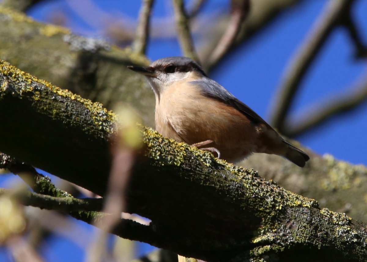 My Guided Walk tweet media