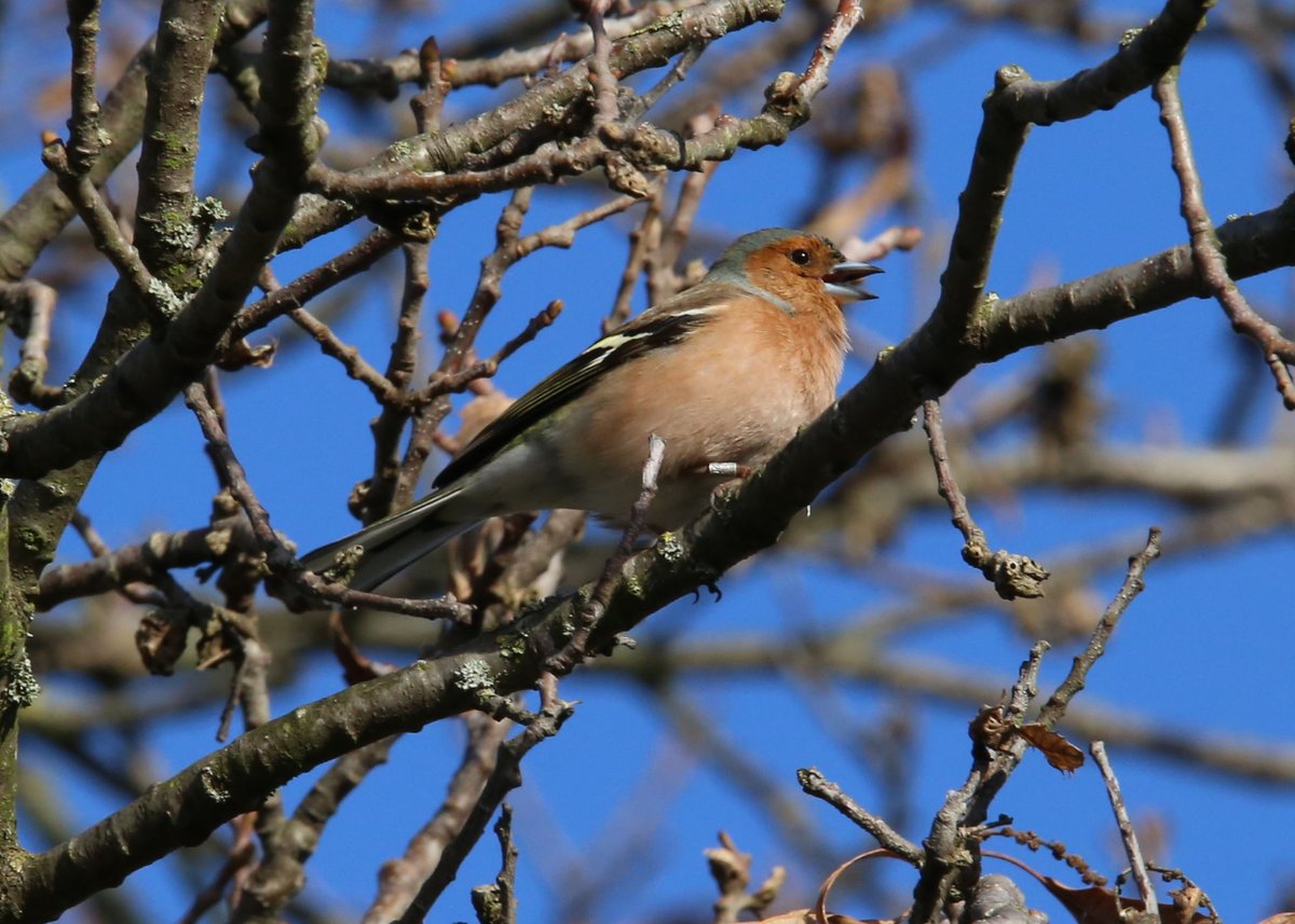 My Guided Walk tweet media