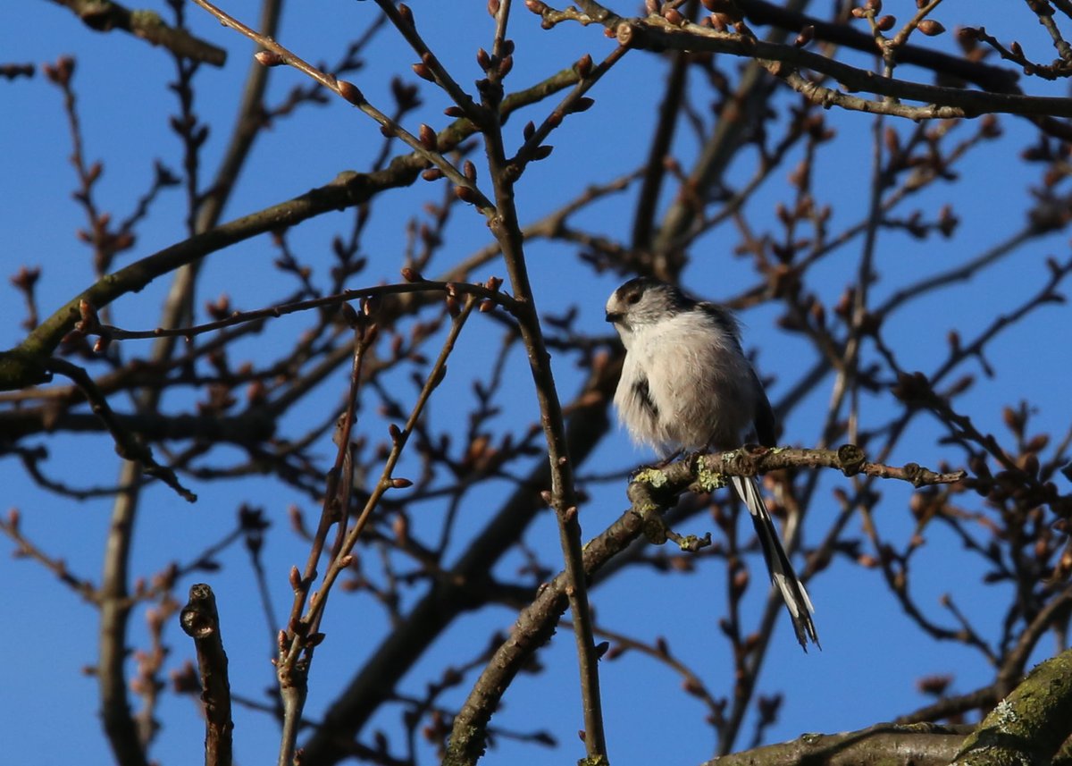 My Guided Walk tweet media
