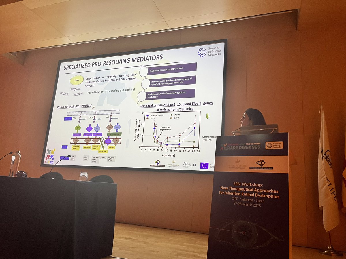 AnaPilarGomez's tweet photo. Talk 7 #ERNworkshop #retinaldystrophies
Dr. Regina Rodrigo from @CIPFciencia @CIBERER explains neuroprotective strategies in IRD to reduce oxidative stress and inflammation using antioxidant compounds and lipid supplementation in mice and humans
@FEDER_ONG @RetinaMurcia https://t.co/2LbrrIfzjr