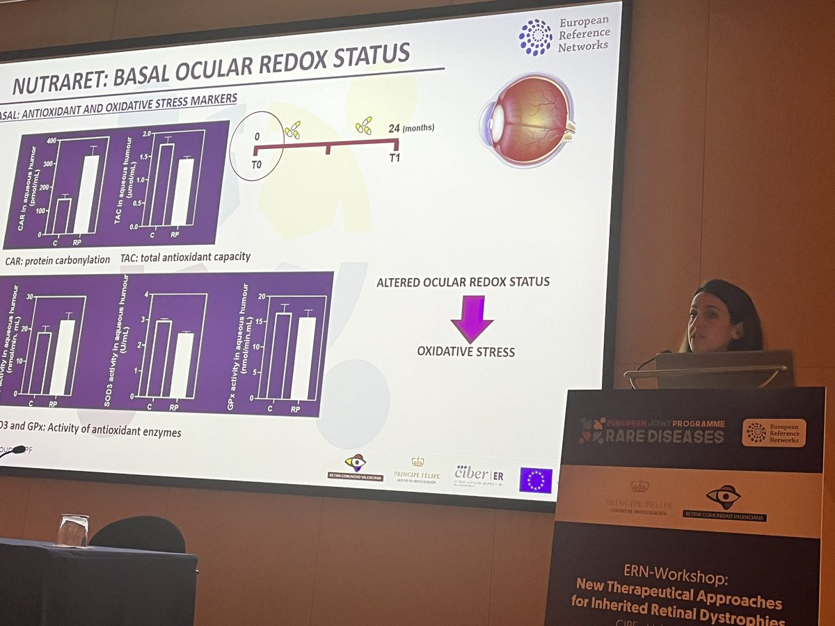 AnaPilarGomez's tweet photo. Talk 7 #ERNworkshop #retinaldystrophies
Dr. Regina Rodrigo from @CIPFciencia @CIBERER explains neuroprotective strategies in IRD to reduce oxidative stress and inflammation using antioxidant compounds and lipid supplementation in mice and humans
@FEDER_ONG @RetinaMurcia https://t.co/2LbrrIfzjr