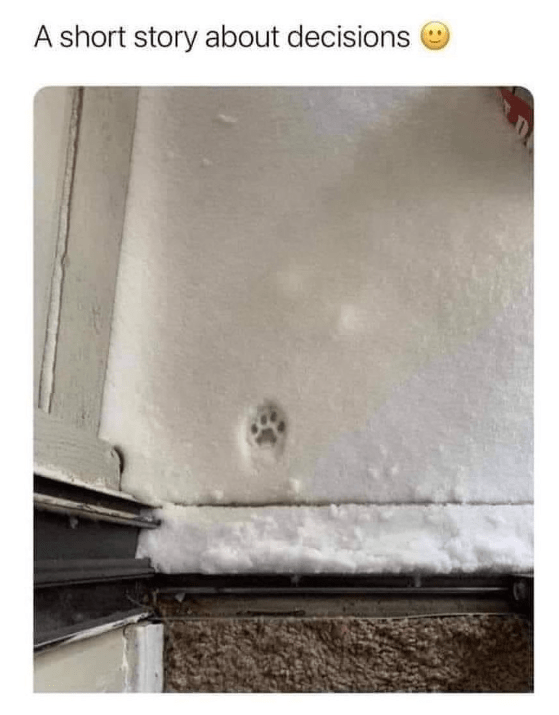 WholesomeMeme's tweet image. 