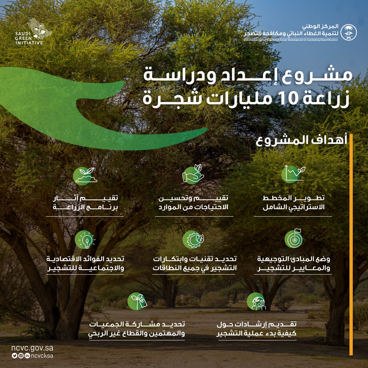المركز الوطني لتنمية الغطاء النباتي ومكافحة التصحر tweet media