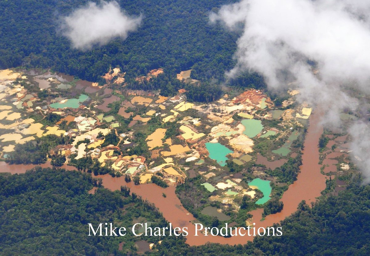 Minería en el río Puruni, Territorio Esequibo #27Mar Mientras @ONU_es @unredd @Climateforest @DELGUYGEO otorgan dinero a Irfaan Ali para el 'cuidado de los bosques', el Gobierno de Guyana da concesiones donde destruyen el medioambiente bajo el uso de Mercurio y Cianuro. #MiMapa