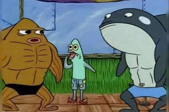 Pibes Forros tweet media