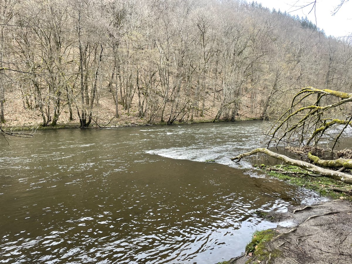 Heerlijke wandeling langs de rivier. #vanlife #koetsieisfoetsie #onderwegnaardebalkan