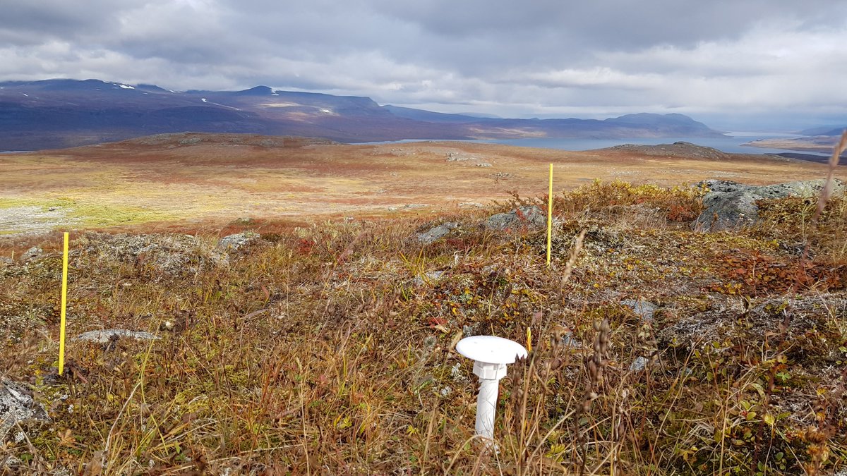 Paul Kardol (@paulkardol) on Twitter photo We are looking for a research assistant (4 months, an extension might be possible) to help us in the lab and field with our work on the <a href="/ERC_Research/">European Research Council (ERC)</a> THRESHOLD project! Application deadline: April 11th. slu.se/en/about-slu/w… We are looking for a research assistant (4 months, an extension might be possible) to help us in the lab and field with our work on the <a href="/ERC_Research/">European Research Council (ERC)</a> THRESHOLD project! Application deadline: April 11th. slu.se/en/about-slu/w…