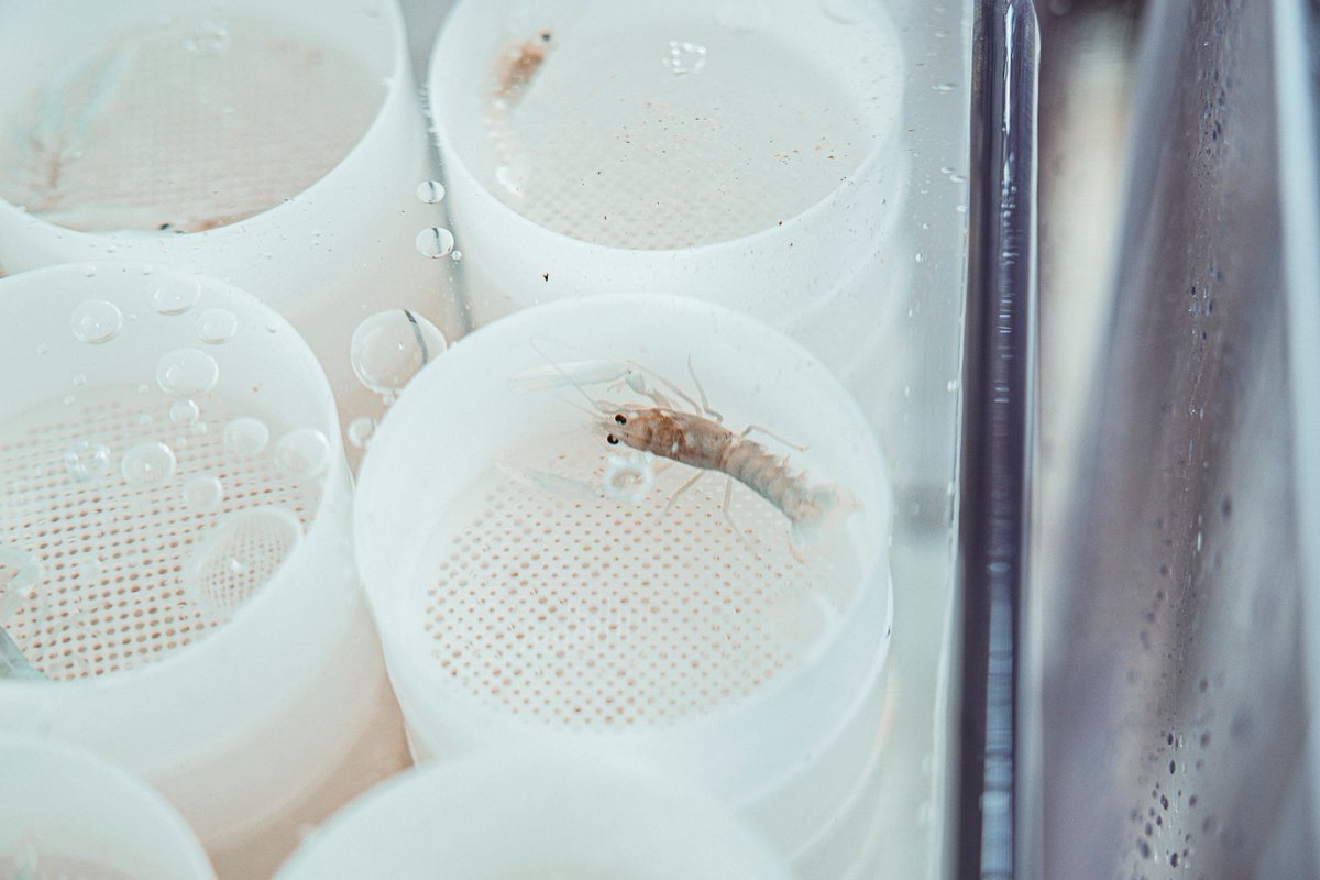 Région Normandie tweet media