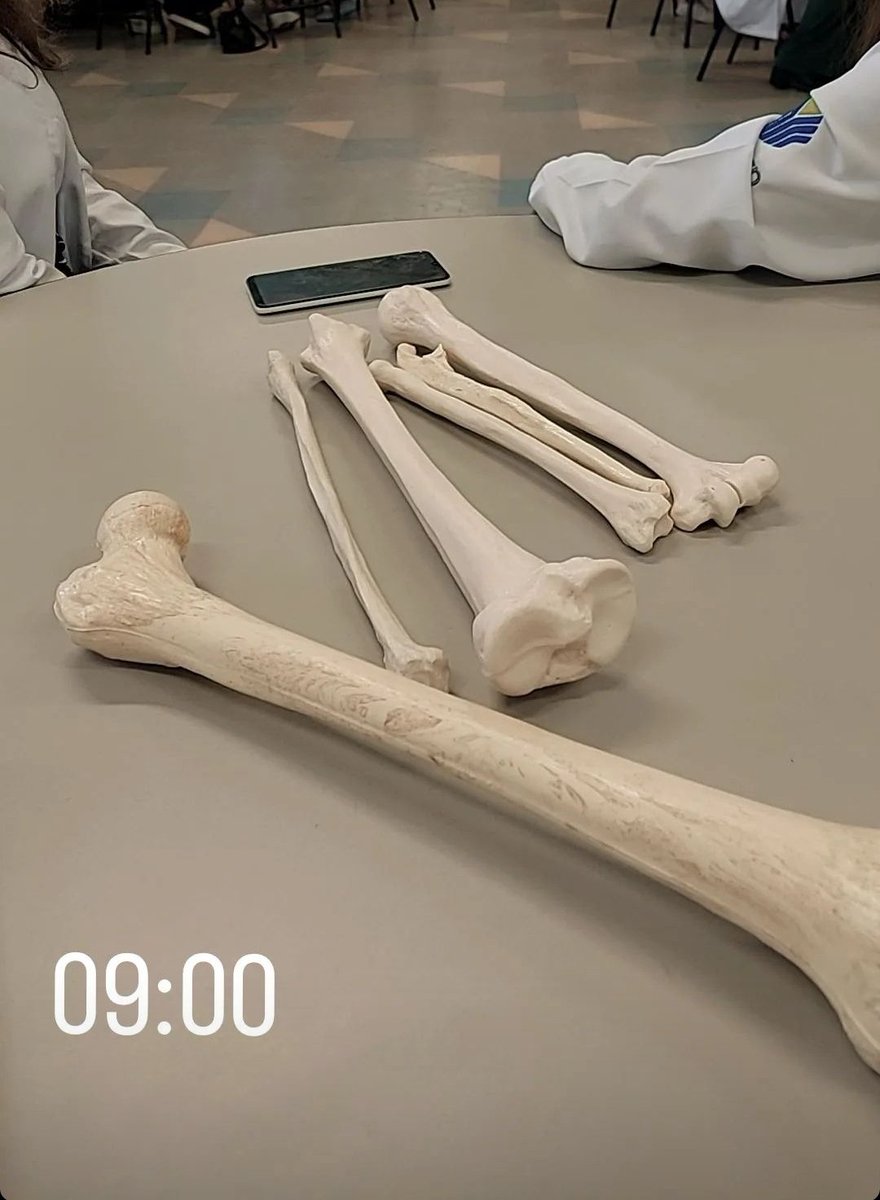 debstudyin's tweet image. tive a primeira aula prática hoje :)