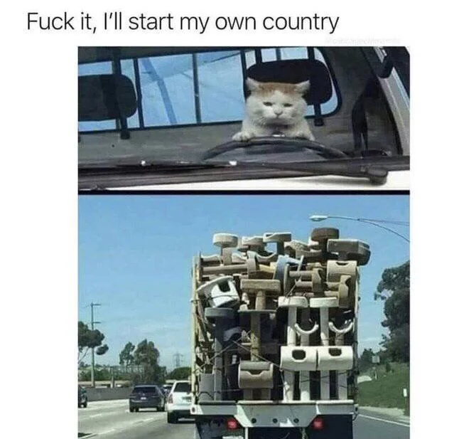 WholesomeMemes tweet media