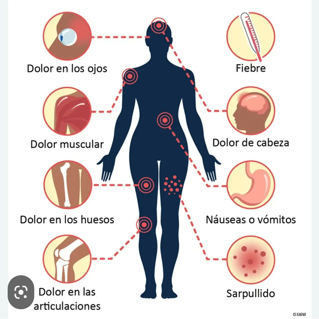lulaip's tweet photo. ✍📌Vuelvo a repetir ojo con el Dengue Cada vez mas casos https://t.co/c7mkyQ1Fc7