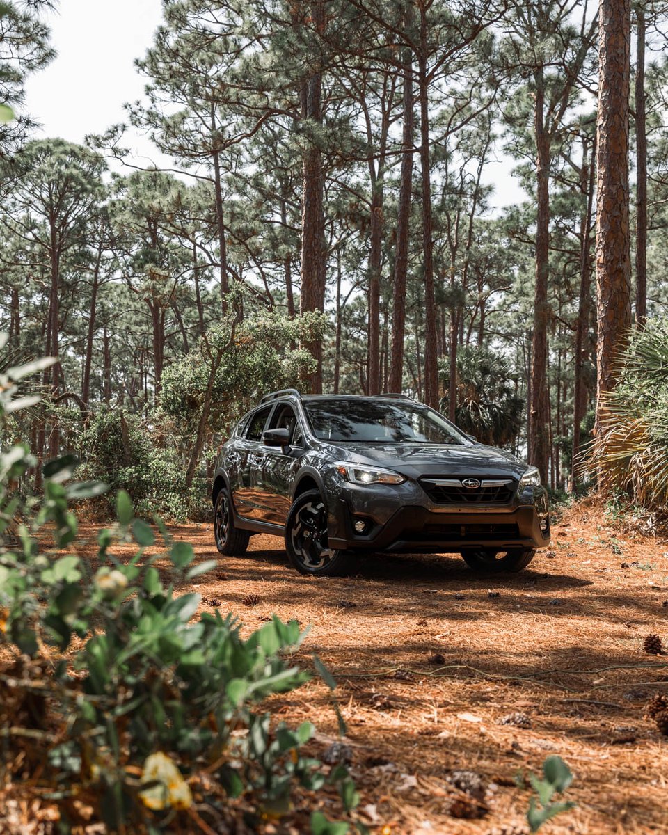 Schumachersuba's tweet photo. Makes every day just a little bit more special. Find your new vehicle at Schumacher Subaru of Delray or order one online!
#schumacher #schumacherautogroup #schumachersubaru #subaru #subarufan #subarudriver #delray #delrayfl #soflo #palmbeach #palmbeachflorida #carsales #carscene https://t.co/wnlGHJLcq8