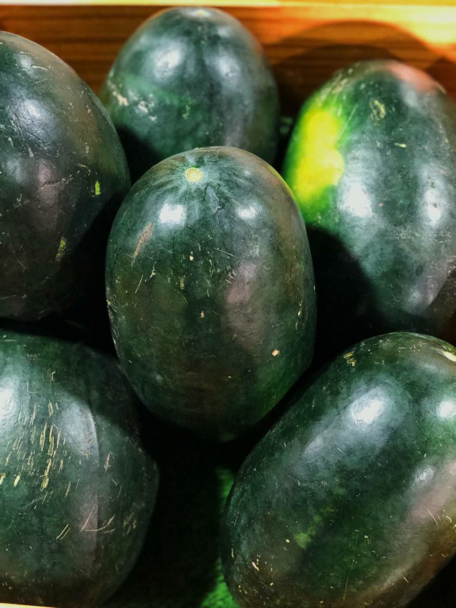 އއ. ތޮއްޑޫއިން ވަރަށް ތާޒާ ކަރާ ޝިޕްމެންޓެއް މިއަދުވަނީ ލިބިފަ . 😊
ފޮނި ފޮނި މީރު ދިވެހި  ކަރާ، ފަނި ގިރާލަން މިވަރެށް ނެއް. 
ހޯލް ސޭލް 21 ރުފިޔާ (5 ކިލޯ ފެށިގެން)
އޯޑަރު ކޮށްލެއްވުމަށް 3012640 އަށް ގުޅުއްވާލައްވާ، ނުވަތަ 7291130 ވައިބާރ ކޮށްލައްވާ ! 

💯% #DhivehiUfehdhun 🌱