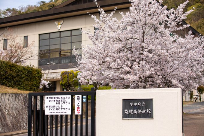 新入生のみなさん！北宇治高校へようこそ！#anime_eupho #京都の美しい桜 