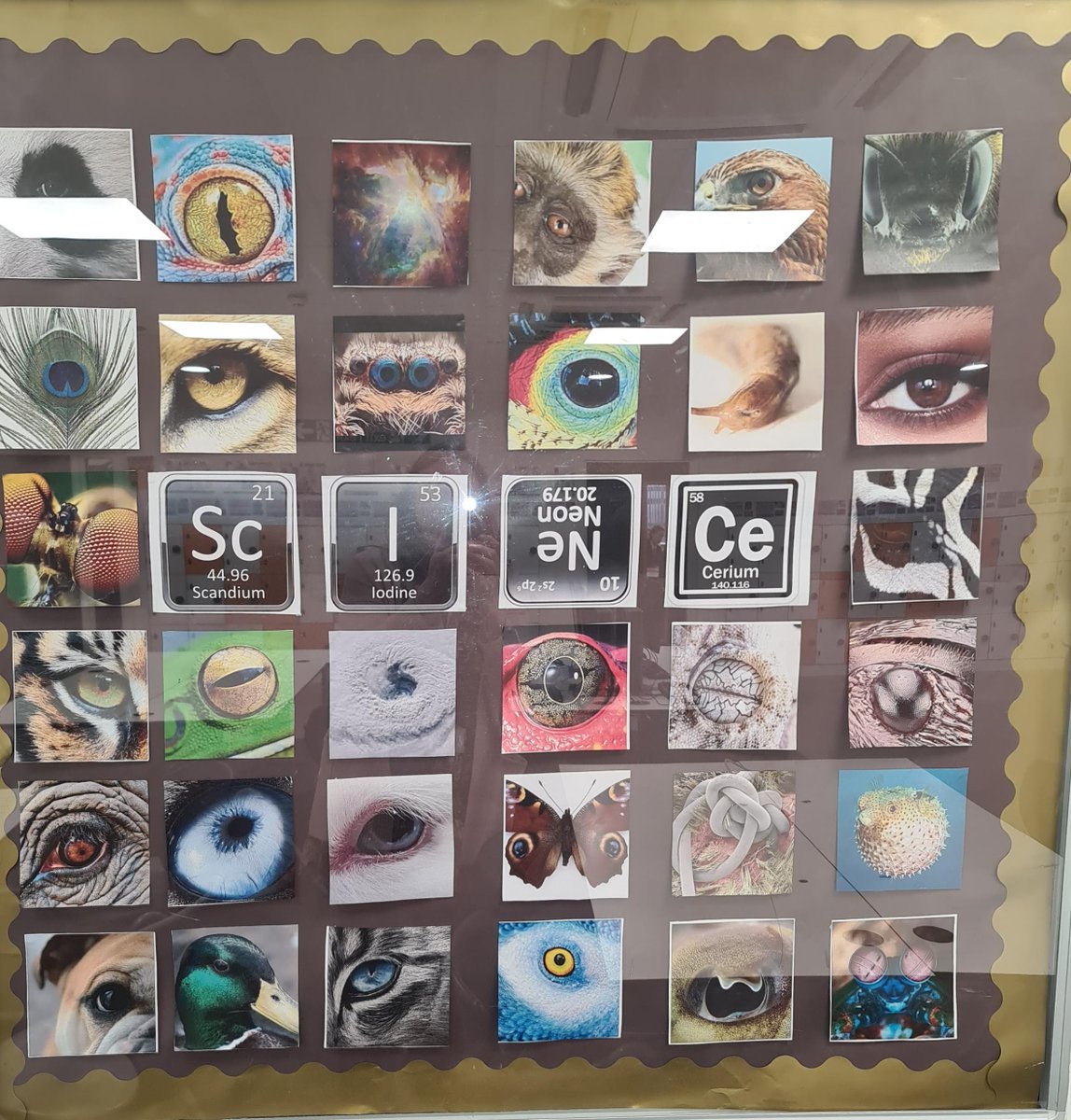 LynSpin7's tweet photo. @msfeliciayong We just put 'Science' in the centre with periodic table elements https://t.co/so1TsesXB6